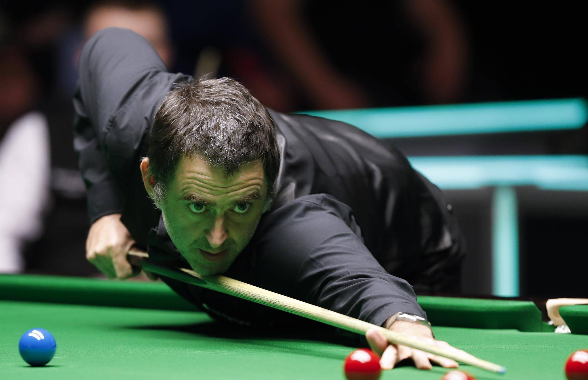 他们的强大 他们的强大