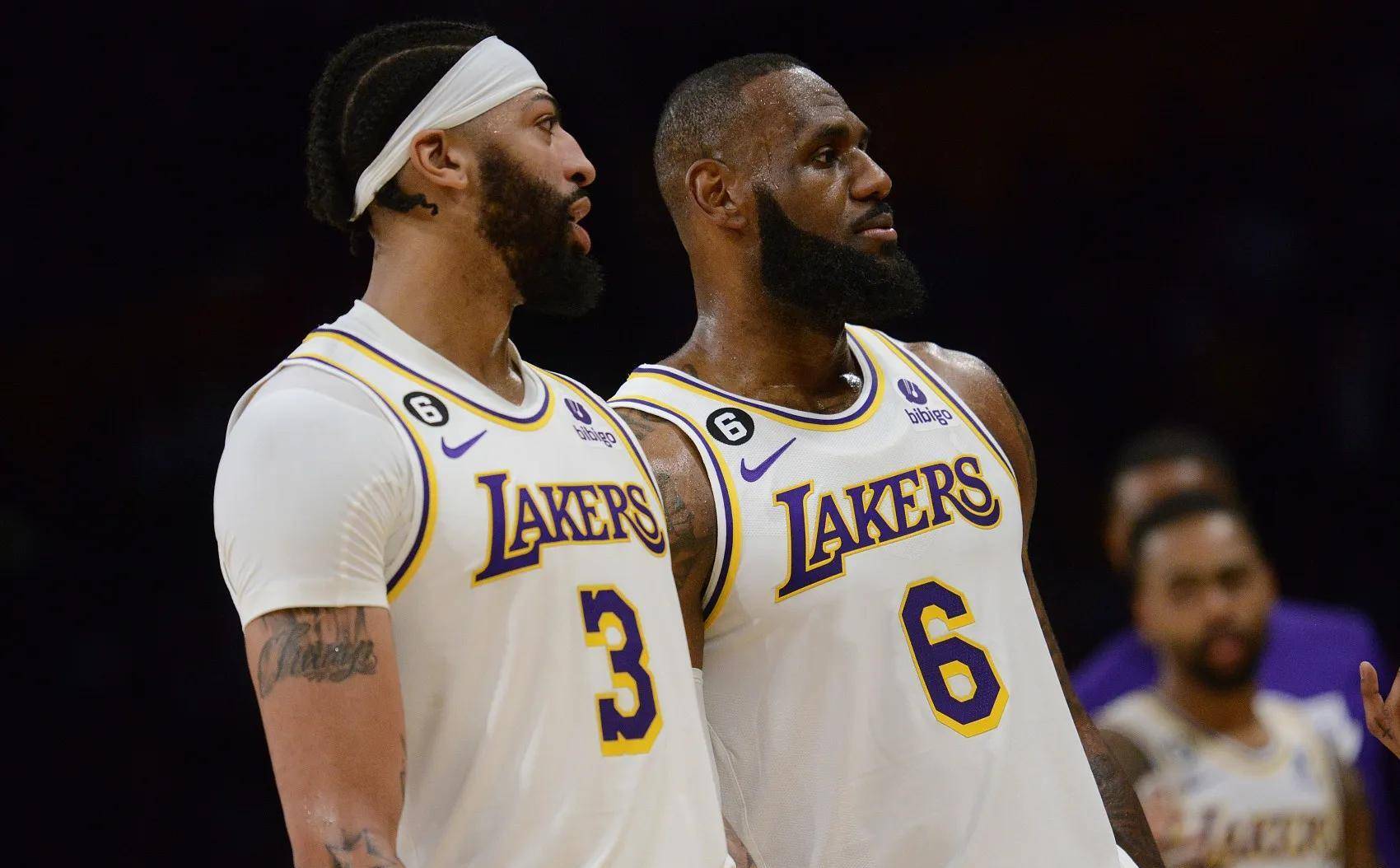 供了经验基 供了经验基